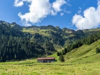 Österreich - Farmkehralm - Almgebäude unter dem Kamm zur Sagtaler Spitze